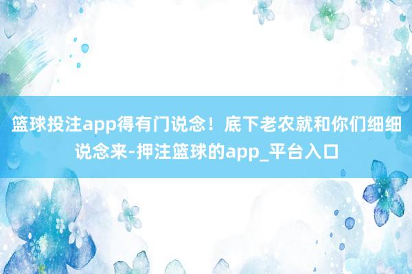 篮球投注app得有门说念！底下老农就和你们细细说念来-押注篮球的app_平台入口